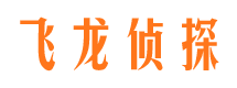 新和市侦探调查公司